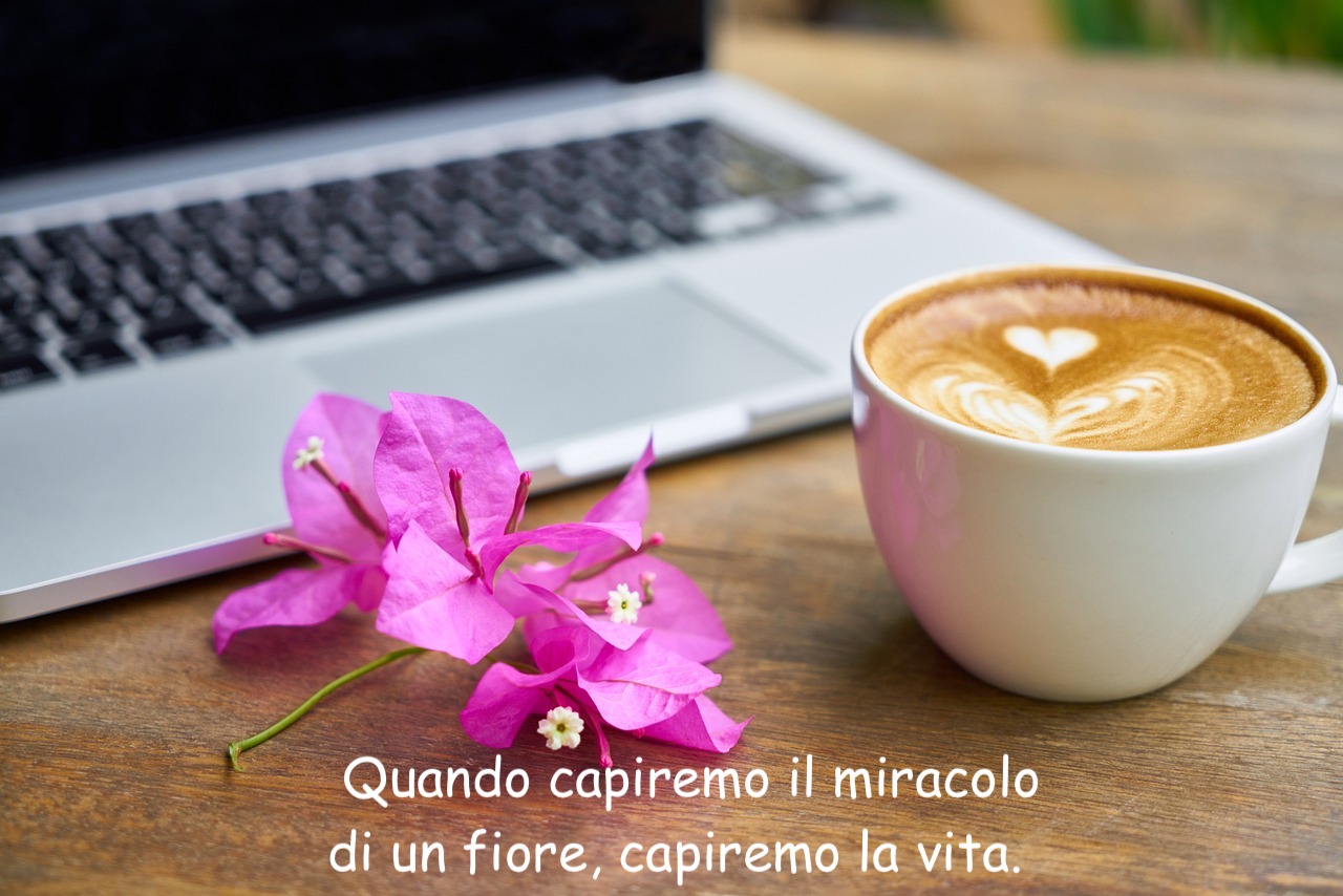 buongiorno con immagini belle di caffe e fiori